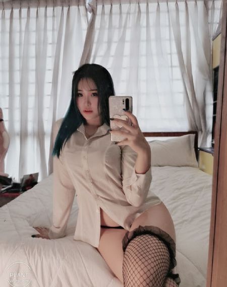免费视频观看_DVD在线手机播放